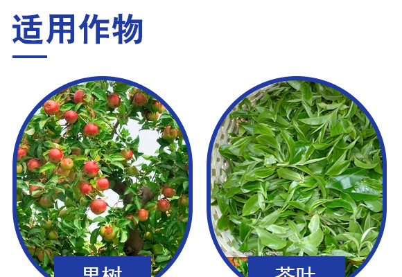 微生物菌?修土植宝-益农肥业_04.jpg