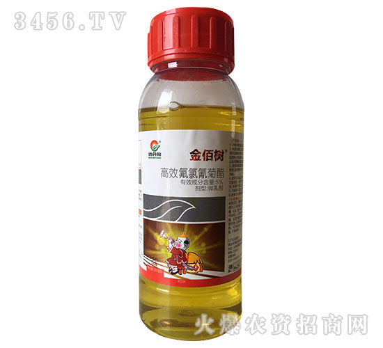 5%Ч΢鄩300ml-ۘ-嵤