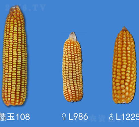 108-׷N-