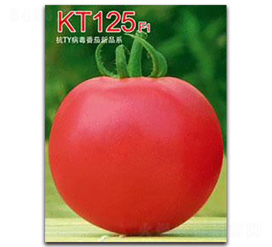 KT125F1-ѷN-ػ