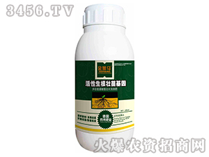 500ml-{R-̩(li)(gu)H